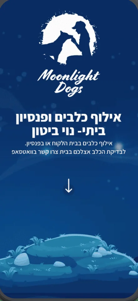 דף נחיתה לאילוף כלבים