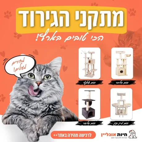 מודעה שעיצבתי: מתקני גירוד