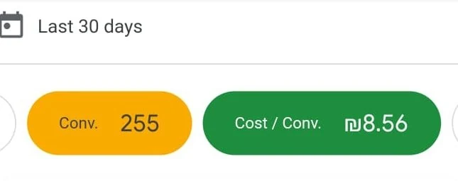 צילום מסך מגוגל אדס: 255 פניות, 8.56 ש"ח לפנייה