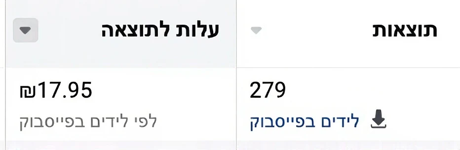 צילום נתונים: 279 לידים בקמפיין נדל"ן